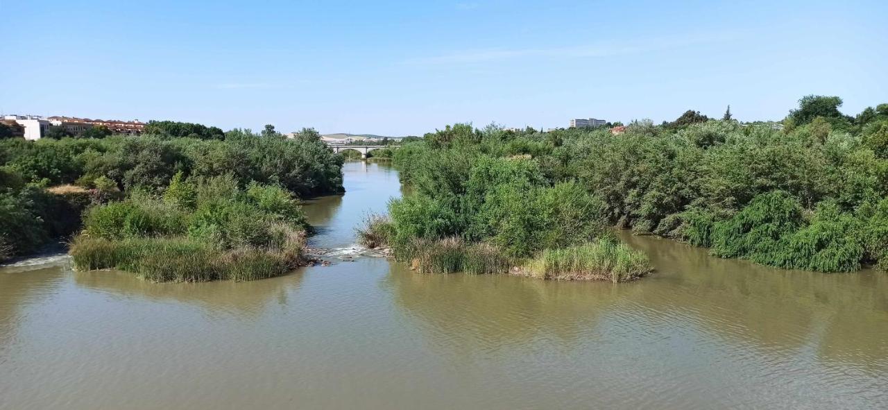 La Pequena Taifa I Córdoba Exterior foto